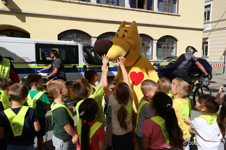 V Kamniku dan brez avtomobila! (22)